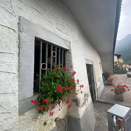 Casa Vacanze Il Pettirosso. Pisogne Luaran gambar