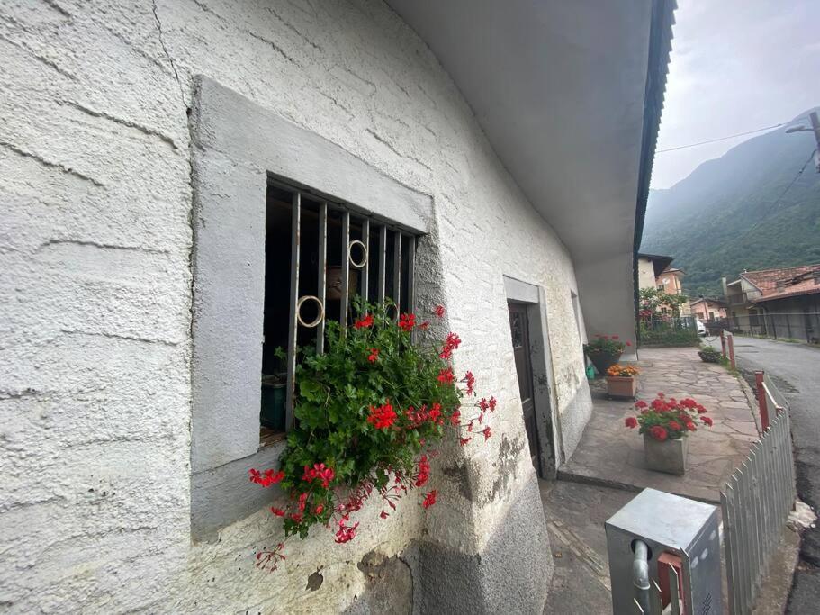 Casa Vacanze Il Pettirosso. Pisogne Luaran gambar