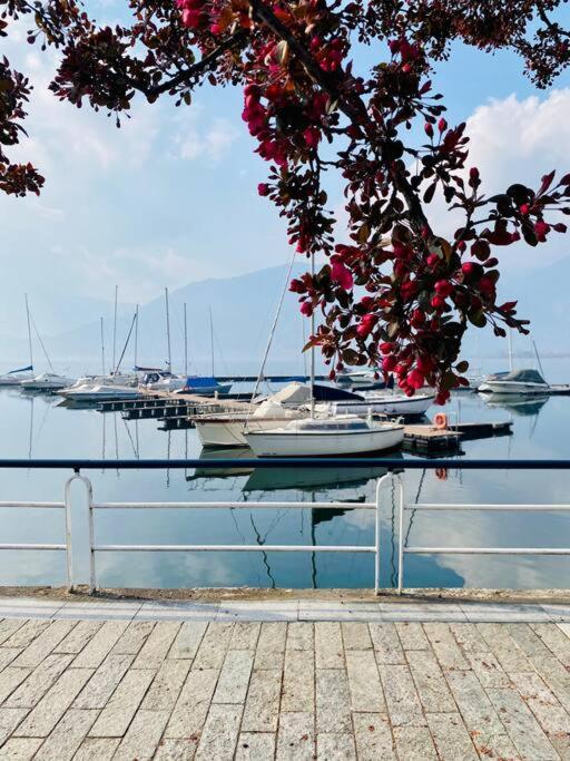 Casa Vacanze Il Pettirosso. Pisogne Luaran gambar