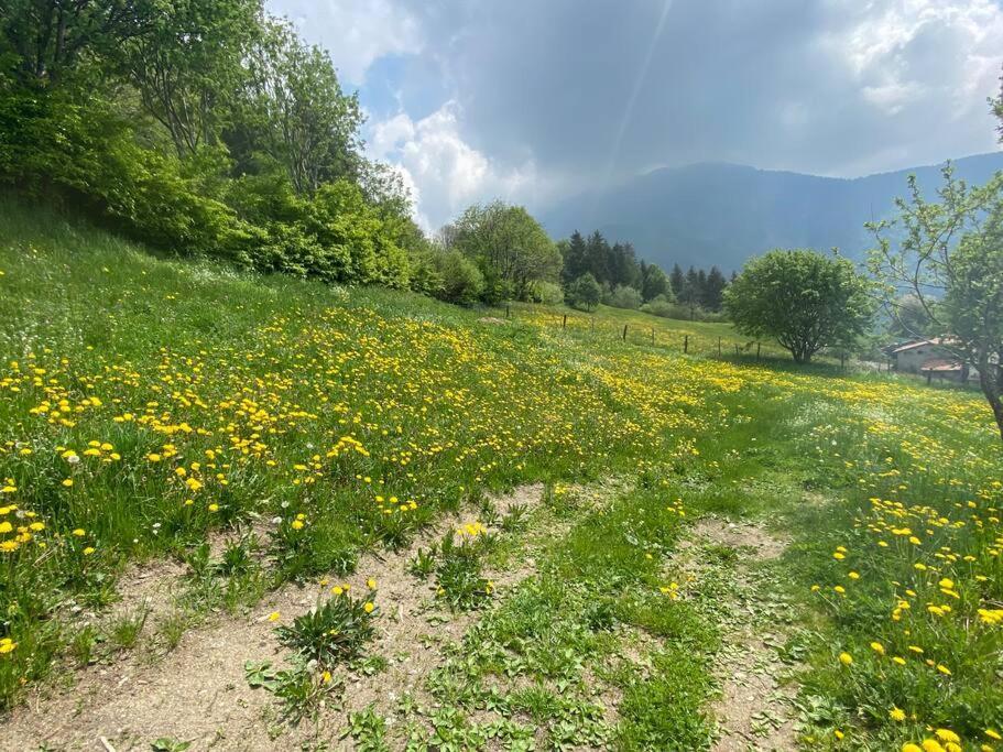 Casa Vacanze Il Pettirosso. Pisogne Luaran gambar