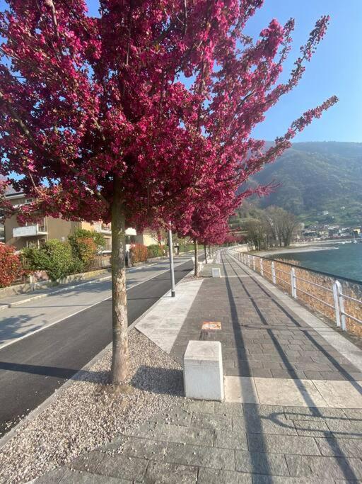 Casa Vacanze Il Pettirosso. Pisogne Luaran gambar