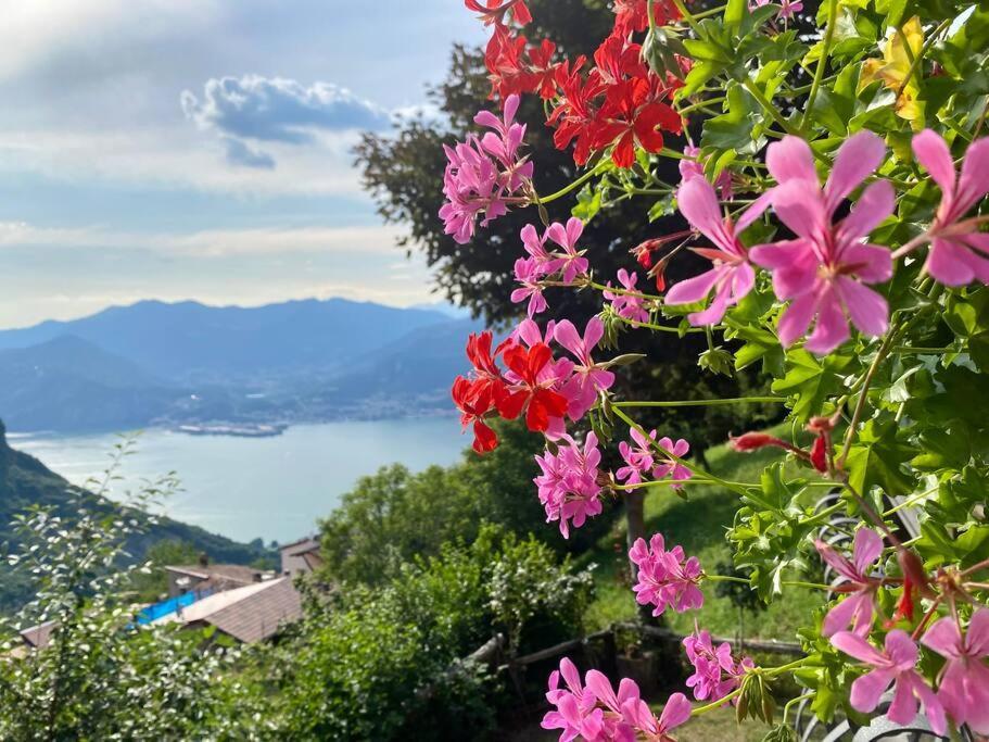 Casa Vacanze Il Pettirosso. Pisogne Luaran gambar